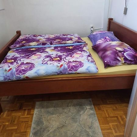 Terme Catez Apartma Nine Catez ob Savi Exterior foto