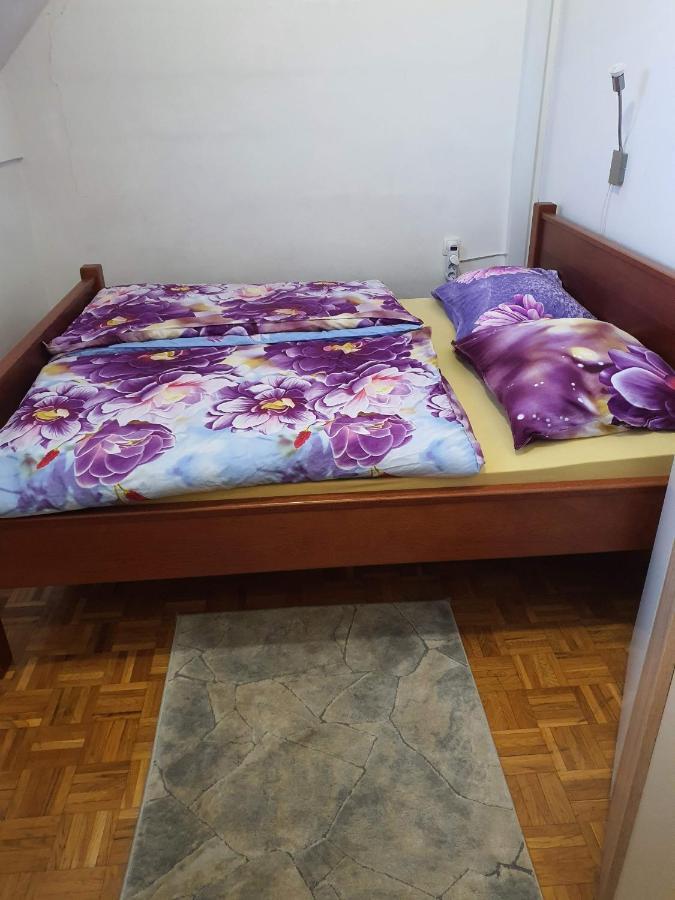 Terme Catez Apartma Nine Catez ob Savi Exterior foto