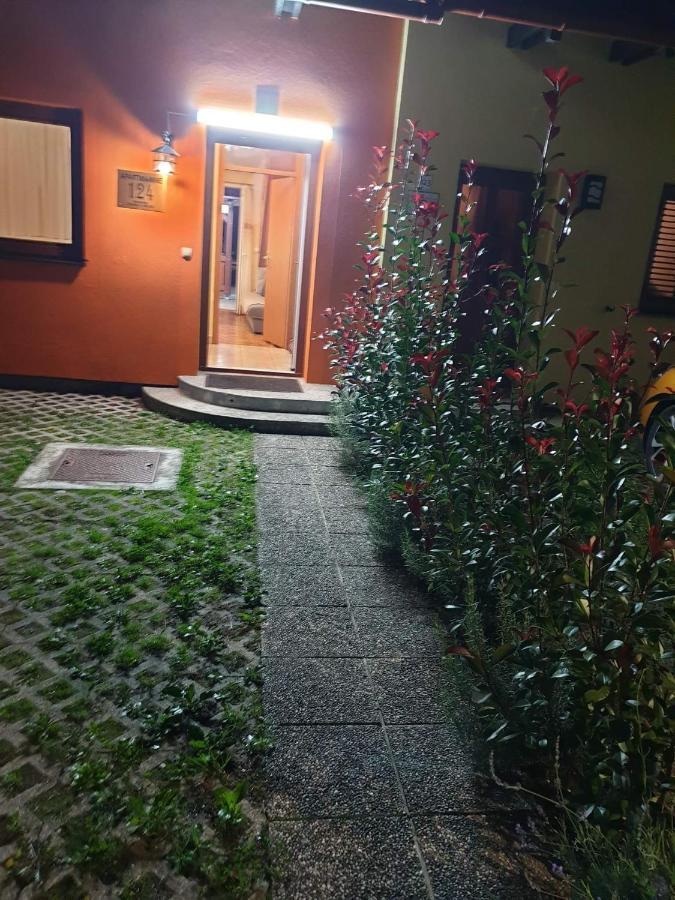 Terme Catez Apartma Nine Catez ob Savi Exterior foto