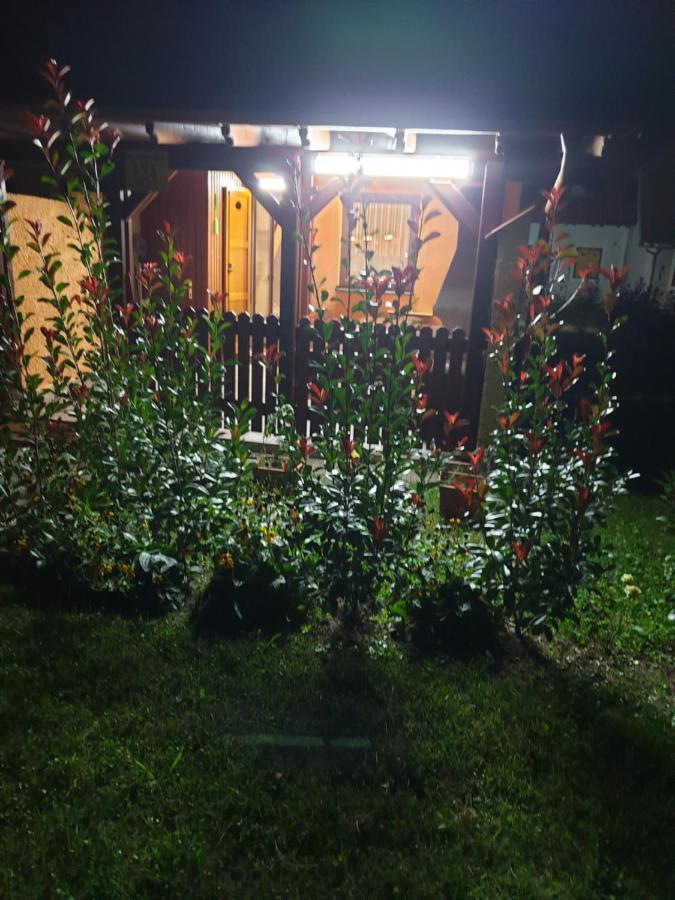 Terme Catez Apartma Nine Catez ob Savi Exterior foto